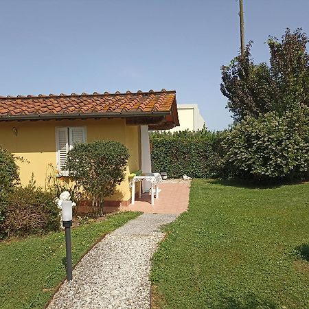 Piscina Privata Tiger Home, Toscana Capannori Εξωτερικό φωτογραφία