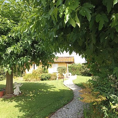 Piscina Privata Tiger Home, Toscana Capannori Εξωτερικό φωτογραφία