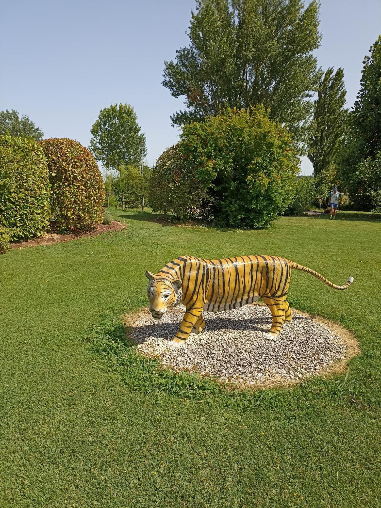 Piscina Privata Tiger Home, Toscana Capannori Εξωτερικό φωτογραφία